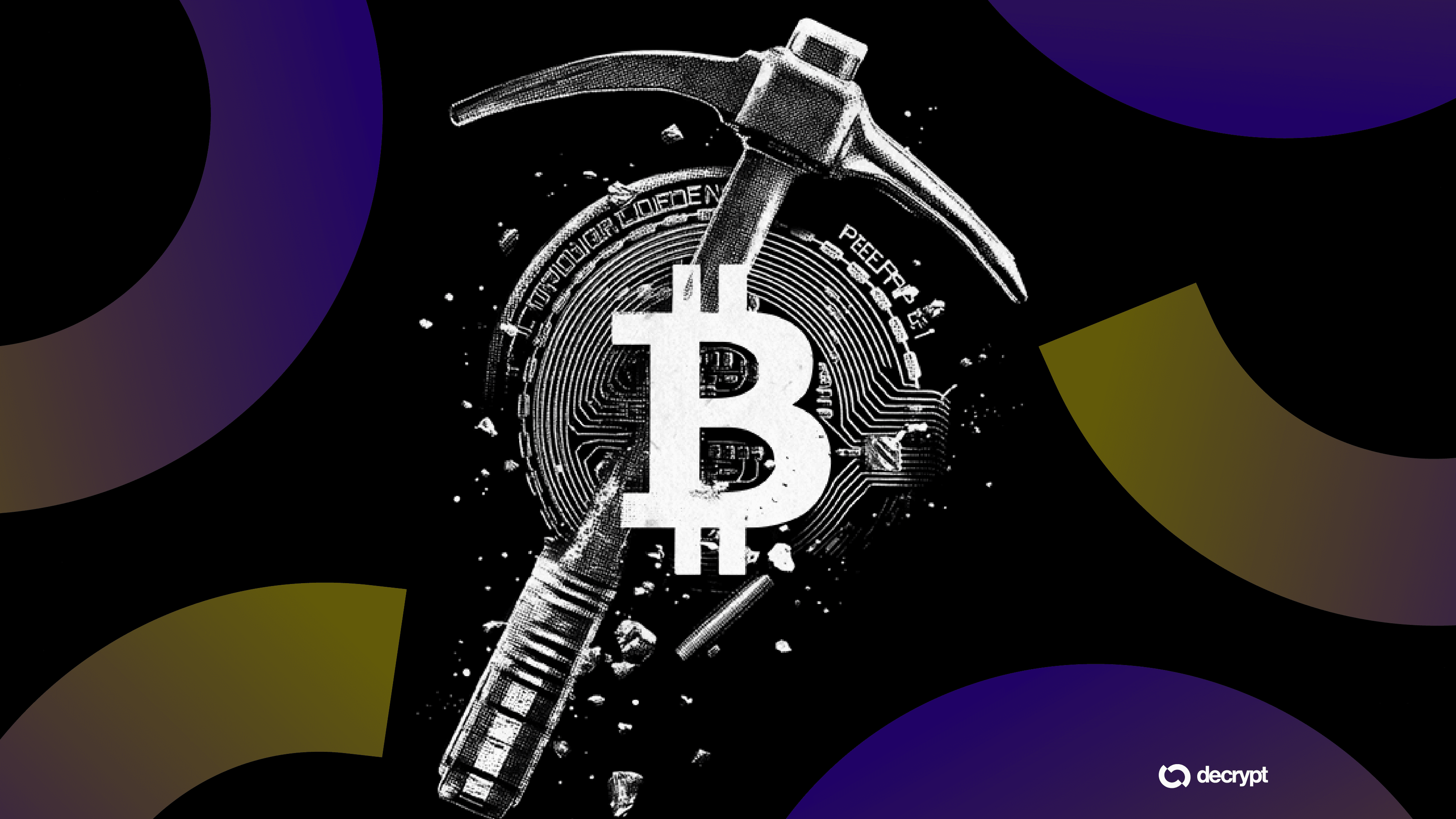 Can a Fruit Fly Brain Mine Bitcoin? These Companies Are Testing It
