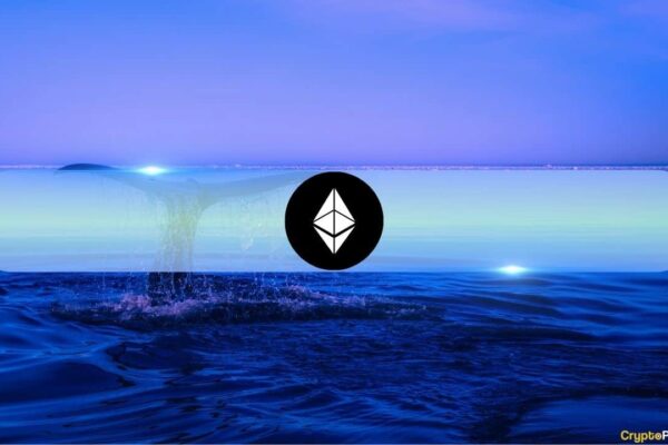The Latest Ethereum Whale Activity: Should ETH Investors Worry?