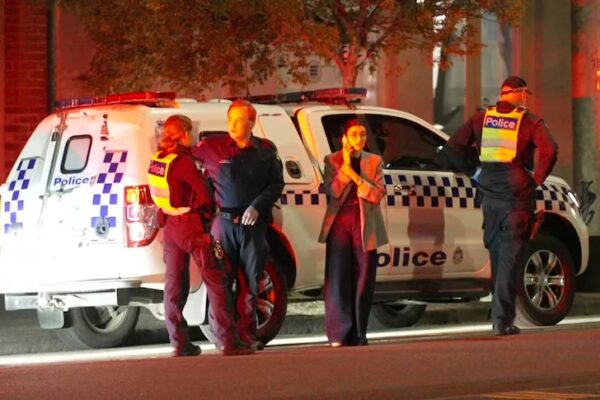Woman who drove at officers during machete arrest shot dead by police