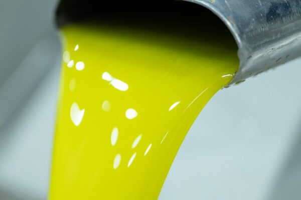 What shortage? Australia’s bumper olive oil season – and one company’s American dream