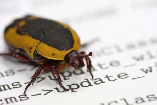 Solana Quietly Fixes Bug That Could Have Let Attackers Mint and Steal Certain Tokens